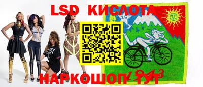 спиды Гатчина