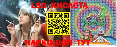 спиды Гатчина