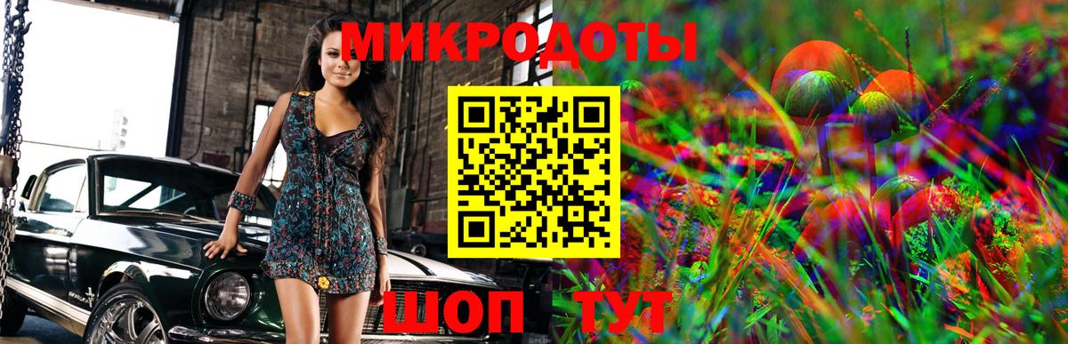 Галлюциногенные грибы Psilocybe Нижний Тагил